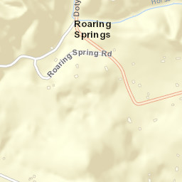 Roaring Springs Tennessee Street Map