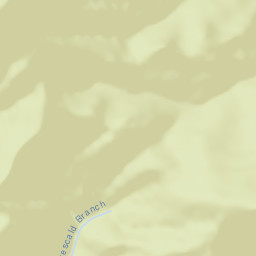 Bear Stand Tennessee Street Map