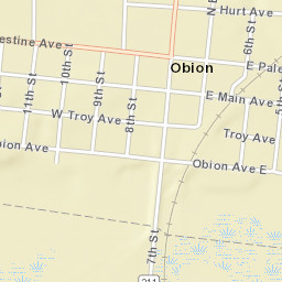 Obion Tennessee Street Map