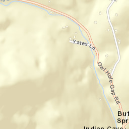 Buffalo Springs Tennessee Street Map