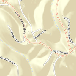 Chestnut Mound Tennessee Street Map