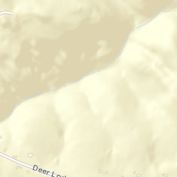 Deer Lodge Tennessee Street Map