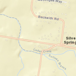 Silver Springs Tennessee Street Map
