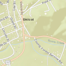 Unicoi Tennessee Street Map