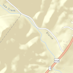 Lea Springs Tennessee Street Map