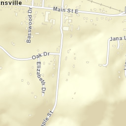 Gordonsville Tennessee Street Map