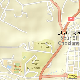 Sour el Ghozlane Street Map