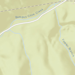 Bumpus Cove Tennessee Street Map
