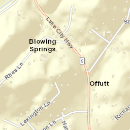 Blowing Springs Tennessee Street Map