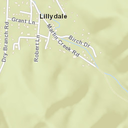 Lillydale Tennessee Street Map