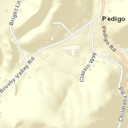 Pedigo Tennessee Street Map