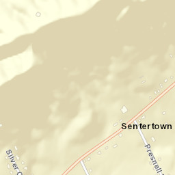 Sentertown Tennessee Street Map