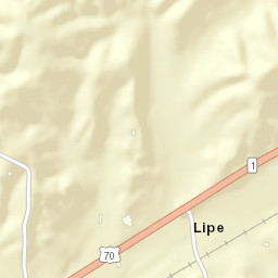 Lipe Tennessee Street Map