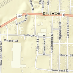 Bruceton Tennessee Street Map