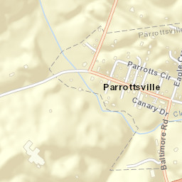 Parrottsville Tennessee Street Map