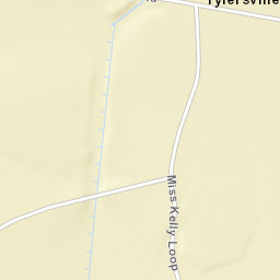 Tylersville Tennessee Street Map