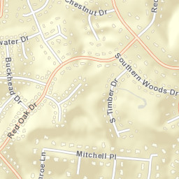 Raintree Forest Tennessee Street Map