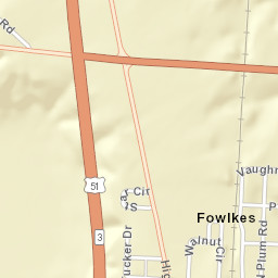 Fowlkes Tennessee Street Map