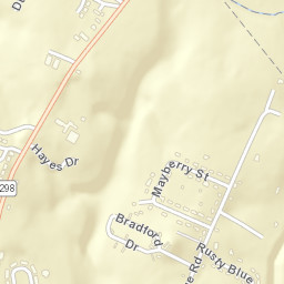 Meadowview Tennessee Street Map