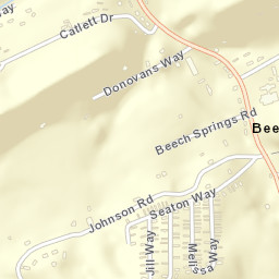 Beech Springs Tennessee Street Map