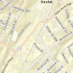Vestal Tennessee Street Map