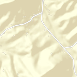 Neubert Springs Tennessee Street Map