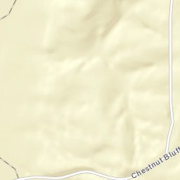 Chestnut Bluff Tennessee Street Map