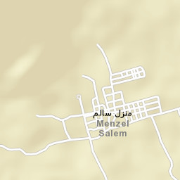 Menzel Salem Street Map