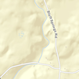 Bluff Springs Tennessee Street Map