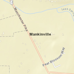 Mankinville Tennessee Street Map