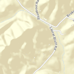 Laurel Bluff Tennessee Street Map