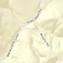 Graytown Tennessee Street Map
