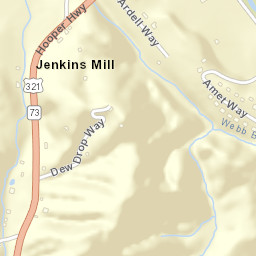 Jenkins Mill Tennessee Street Map