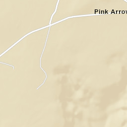 Pink Arrow Arizona Street Map