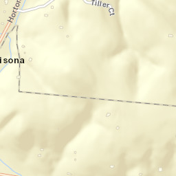 Allisona Tennessee Street Map