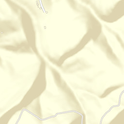 Cowan Springs Tennessee Street Map