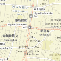 Tokyo Street Map