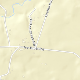 Ivy Bluff Tennessee Street Map