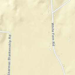 White Fern Tennessee Street Map