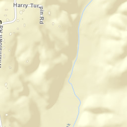 Wilkinstown Tennessee Street Map