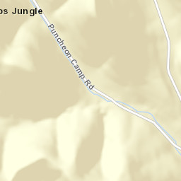 Webbs Jungle Tennessee Street Map