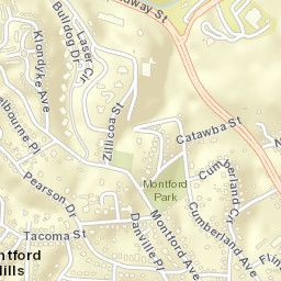 19 Zillicoa St Asheville NC 28801 Street Map