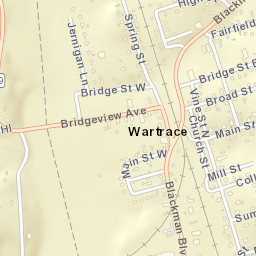 Wartrace Tennessee Street Map