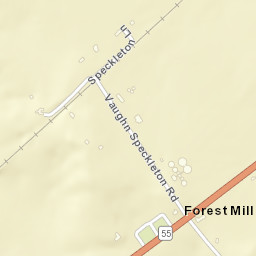 Forest Mill Tennessee Street Map