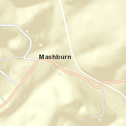 Mashburn Tennessee Street Map