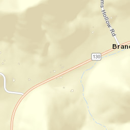 Branchville Tennessee Street Map