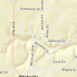 Whiteville Tennessee Street Map