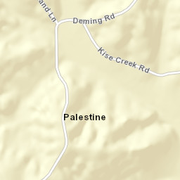 Palestine Tennessee Street Map