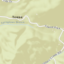 Towee Tennessee Street Map