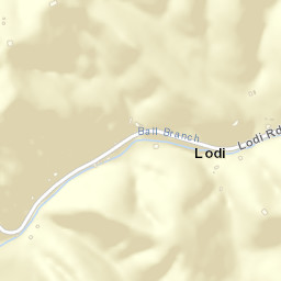 Lodi Tennessee Street Map